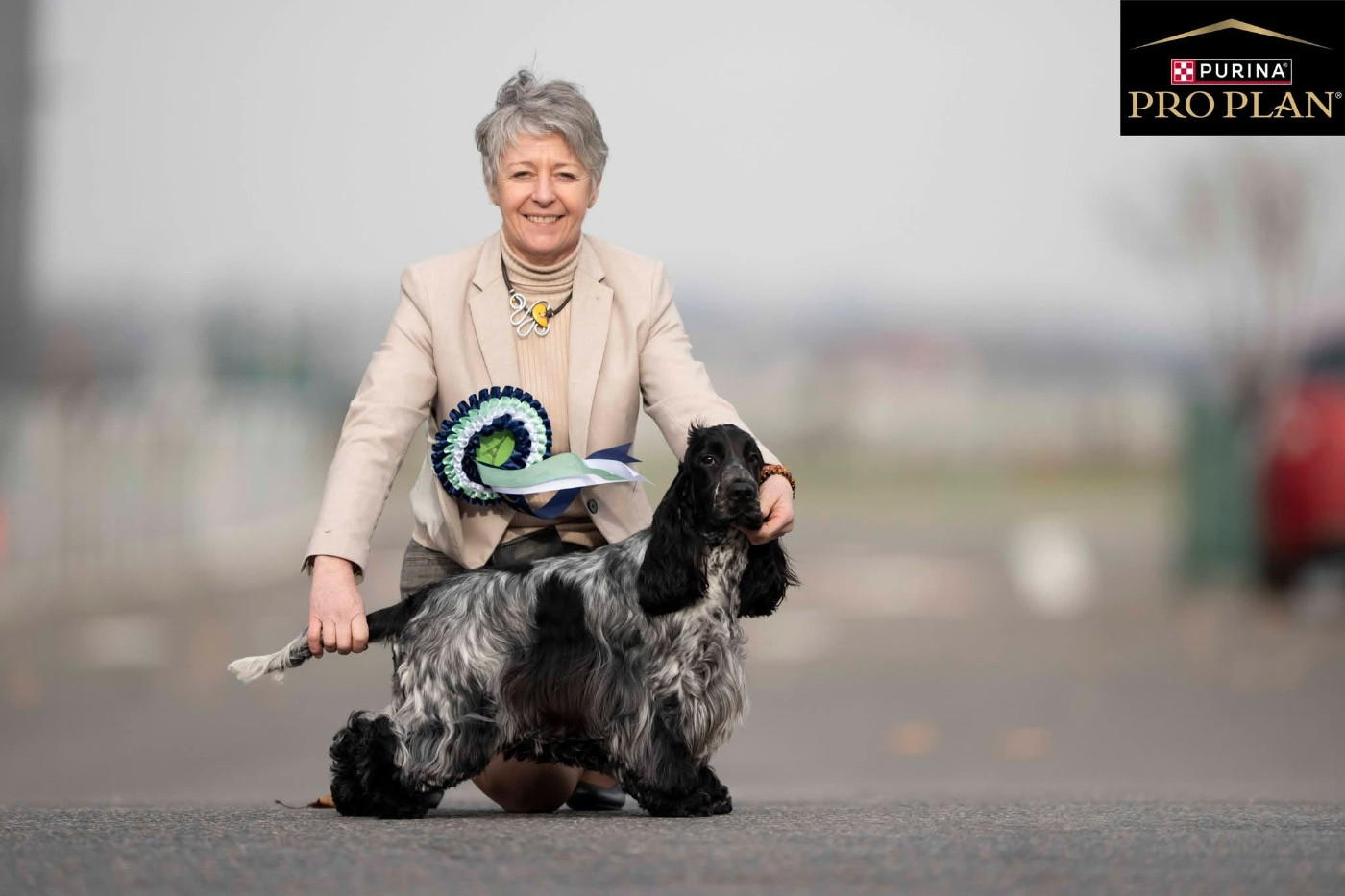 La Vallée De Rainbow - Nouvelles de Hannibal